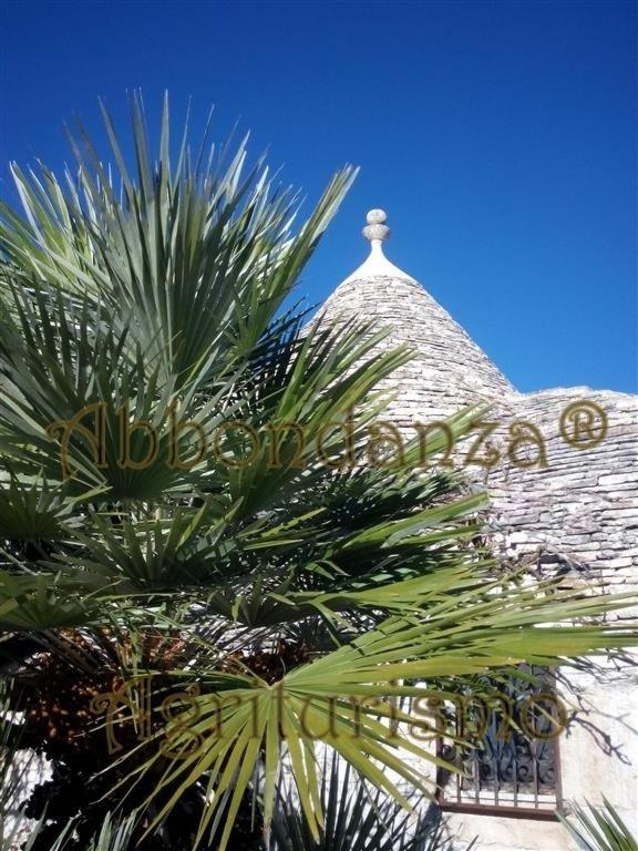 Agriturismo Abbondanza Villa Alberobello Dış mekan fotoğraf