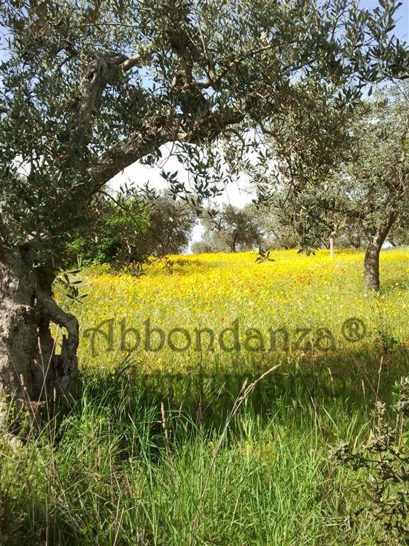 Agriturismo Abbondanza Villa Alberobello Dış mekan fotoğraf