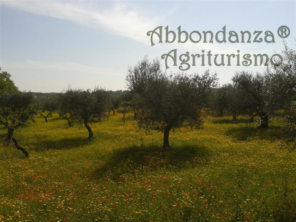 Agriturismo Abbondanza Villa Alberobello Dış mekan fotoğraf