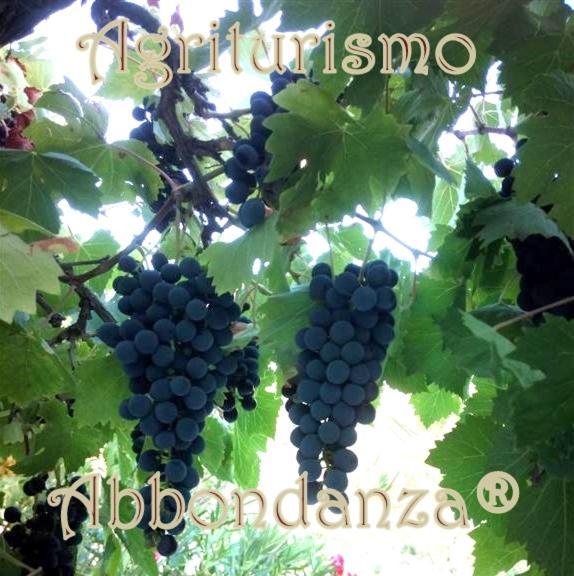 Agriturismo Abbondanza Villa Alberobello Dış mekan fotoğraf